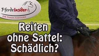 Reiten ohne Sattel Schädlich [upl. by Giana572]