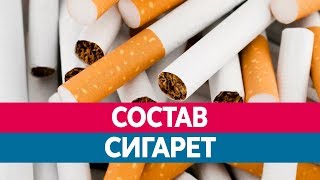 Как ДЕЛАЮТ СИГАРЕТЫ Из чего Состав сигарет табака Вся правда [upl. by Schlesinger694]