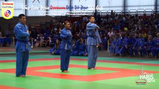 Final SelfDefense Feminin  World Cup Vovinam Viet Vo Dao Paris 2014 [upl. by Introc]