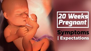 20 Weeks Pregnant  Pregnancy Week By Week Symptoms  The Voice Of Woman [upl. by Amelie]