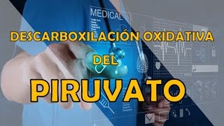 DESCARBOXILACIÓN OXIDATIVA DEL PIRUVATO [upl. by Darcie]