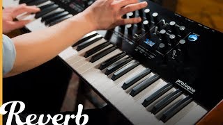 Korg Prologue Polyphonic Analogue Synthesizer  Reverb Demo Video [upl. by Schuman]