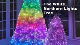 The White Northern Lights Tree [upl. by Nella]