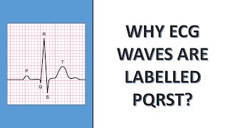 Why ECG waves are labelled as PQRST [upl. by Sivel623]