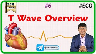 6 T Wave Overview  ECG assessment and ECG interpretation made easy [upl. by Naicad507]