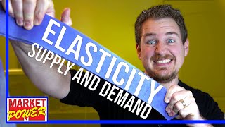 How To Understand Elasticity Economics [upl. by Hunt]