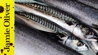 How to Fillet Sardines  Jamie Oliver [upl. by Ettenyar174]