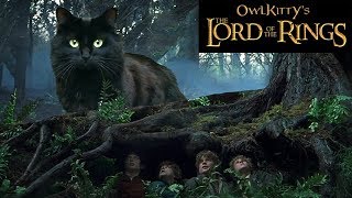 Lord of the Rings  My Cat [upl. by Eikcid]