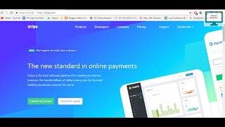 1 What is stripe payment [upl. by Ailisec]