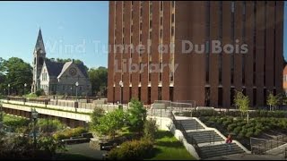 UMass Amherst  5 Things I Wish I Knew About Before Attending [upl. by Gamin]