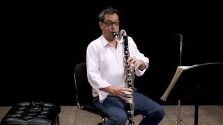 Instrument Bass Clarinet In Depth [upl. by Shirlie]