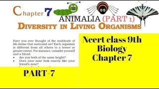 Part 7Animal kingdom Diversity in living Organisms Class 9 Science Chapter 7 Biology CBSE NCERT [upl. by Harbison409]