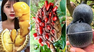 10 Frutas Exóticas Mais RARAS e INCRÍVEIS do Mundo  Parte 1  Exotic Fruits of the World [upl. by Eve337]