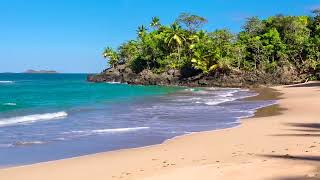 Olas del Paraíso  Playa Hermosa con Sonidos Relajantes del Mar sin Música [upl. by Llecrup]