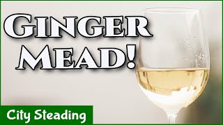 Homemade Honey Mead Ginger Mead Ginger Metheglin Easy Recipe [upl. by Cowie]