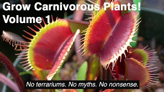 Grow Carnivorous Plants Volume 1  Venus Flytraps Sarracenia and Other Cold Hardy Plants [upl. by Triny]