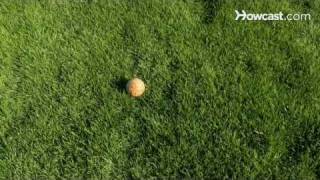 How to Play Bocce [upl. by Also]