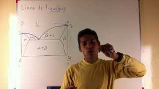 Diagrama de Fases 3  Linea de Liquidus Linea de Solidus y Linea de Solvus [upl. by Aidne475]