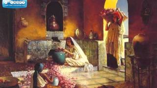 The magnificient ottoman empire  turkish harem music [upl. by Sedgewake]