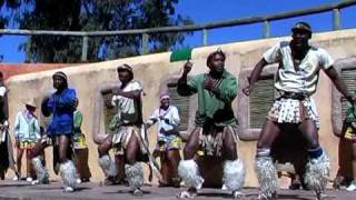 South Africa 31 Zulu War Dance [upl. by Buskirk]