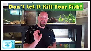 How to Lower Nitrites in an Aquarium [upl. by Lynda552]