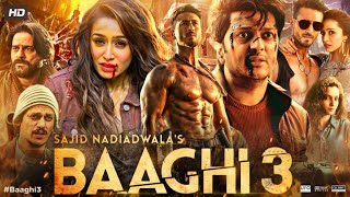 baaghi 3 movie [upl. by Henghold]