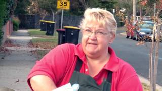 How To Grow Grass From Seed  DIY At Bunnings [upl. by Aeneg]