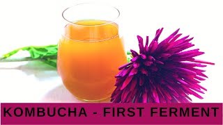 Kombucha tutorial  First fermentation [upl. by Adnuahsar]