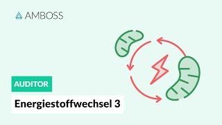 Energiestoffwechsel Teil 3  Wie wird die Glykolyse reguliert  AMBOSS Auditor [upl. by Eydnarb245]