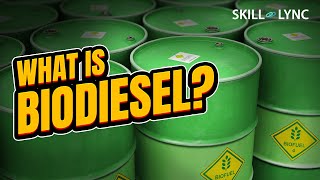 What is BIODIESEL  SkillLync [upl. by Madonna]