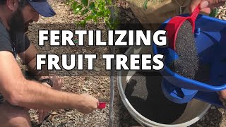 How and When to Fertilize Fruit Trees  Back Yard Orchard [upl. by Cissej]