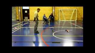 How To Play Boccia [upl. by Attenev]