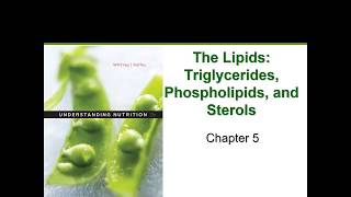 The Lipids Chapter 5 [upl. by Parker]