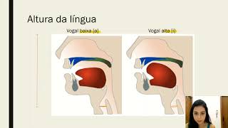 Aula 03 parte I  Fonética Articulatória  As vogais do português brasileiro [upl. by Lindblad]