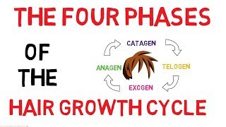 Understanding The Hair Growth Cycle  Adam Explains [upl. by Nolava131]