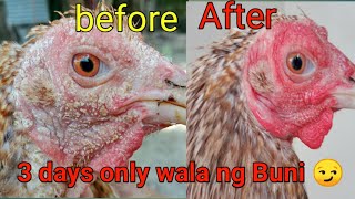 ANO ANG GAMOT SA BUNI NG MANOK [upl. by Pazia]