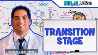 Metabolism  Transition Stage Preparatory Phase [upl. by Barnebas]