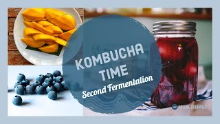 Kombucha Time How to Make Kombucha 2nd Fermentation [upl. by Ultima869]