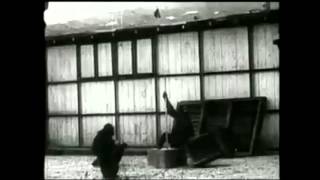 Chimpanzee Insight Kohler Study Footage [upl. by Stanhope]