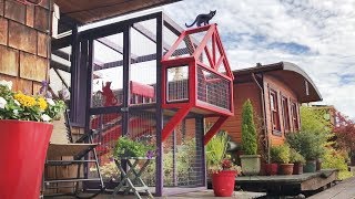 Catio Life CH CATS HOUSEBOAT CATIO by Catio Spaces [upl. by Lauree303]