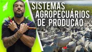 Sistemas Agropecuários de Produção  Geobrasil [upl. by Bovill]