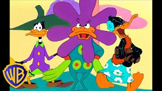 Looney Tunes  Duck Amuck  Classic Cartoon  WB Kids [upl. by Bernadina]