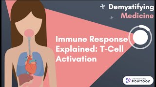 Immune Response Explained TCell Activation [upl. by Atina]