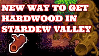 How to get HARDWOOD in Stardew Valley 15  Mahogany tree [upl. by Eurydice]