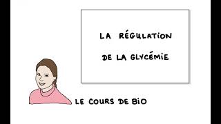 La régulation de la glycémie [upl. by Ardnasella]