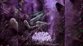 Infant Annihilator  Motherless Miscarriage Album Version 2016 w LYRICS [upl. by Xonk]