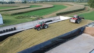 Corn Silage Harvest Begins  Filling the Big Bunk [upl. by Ayot]