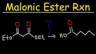 Malonic Ester Synthesis Reaction Mechanism [upl. by Imiaj]