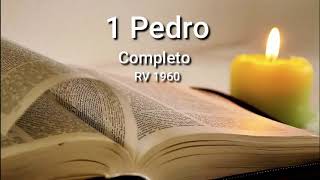 1 PEDRO Completo Biblia Hablada ReinaValera 1960 [upl. by Lleznov529]