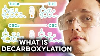 The Science behind Decarboxylation [upl. by Standush]